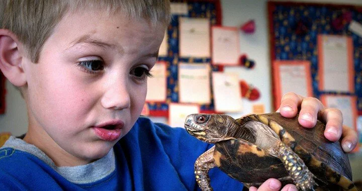 nino-mascota-tortuga-bye-piojito